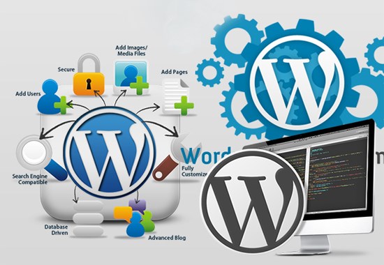 Dịch vụ thiết kế website