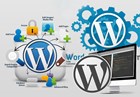 Dịch vụ thiết kế website