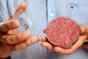 Mỹ cho ra đời "THỊT CÔNG NGHỆ" khiến ngành chăn nuôi Mỹ lo ngại