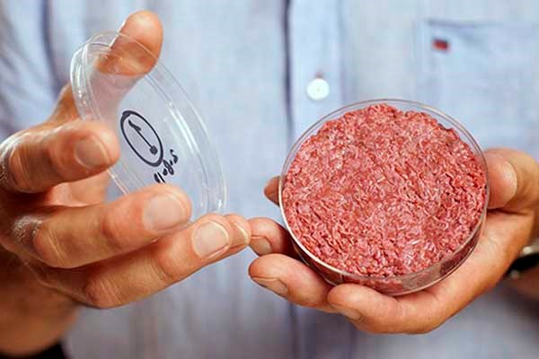 Mỹ cho ra đời "THỊT CÔNG NGHỆ" khiến ngành chăn nuôi Mỹ lo ngại