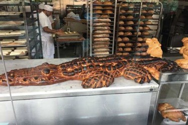 NHỮNG HÌNH ẢNH THÚ VỊ MÀ BẠN KHÓ LÒNG BẮT GẶP.