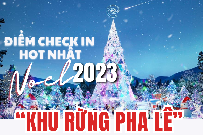 Điểm check in hot nhất Noel năm nay "Khu rừng pha lê lớn nhất Việt Nam"