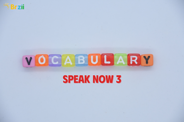 Vocabulary speak now 3 - Từ vựng / phát âm/ Tiếng Việt/ câu ví dụ
