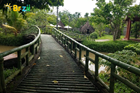 Trường hợp hoá khoa ở cung điền trạch